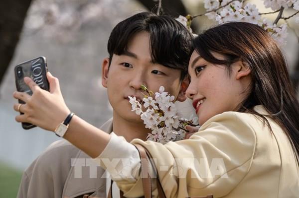 Số hộ độc thân tại Hàn Quốc tiếp tục tăng cao