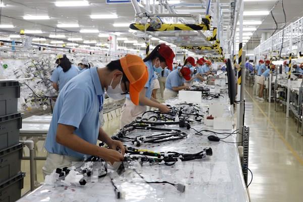 153 dự án kêu gọi đầu tư vào khu công nghiệp, khu kinh tế tại Vĩnh Long