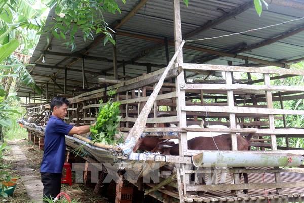 Thủ tướng yêu cầu khẩn trương khắc phục hậu quả thiên tai, phục hồi sản xuất kinh doanh