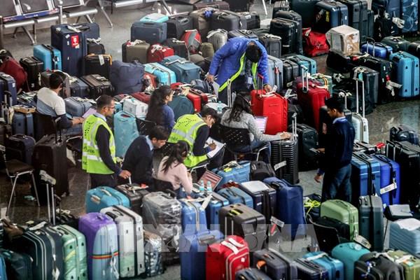 Cuộc khủng hoảng IndiGo hé lộ kẽ hỡ trong quản trị doanh nghiệp Ấn Độ