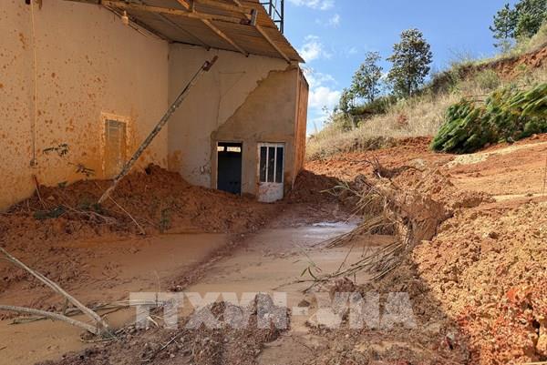 Lâm Đồng di dời nhiều hộ dân ra khỏi khu vực đồi thông 35 ha đang sạt lở