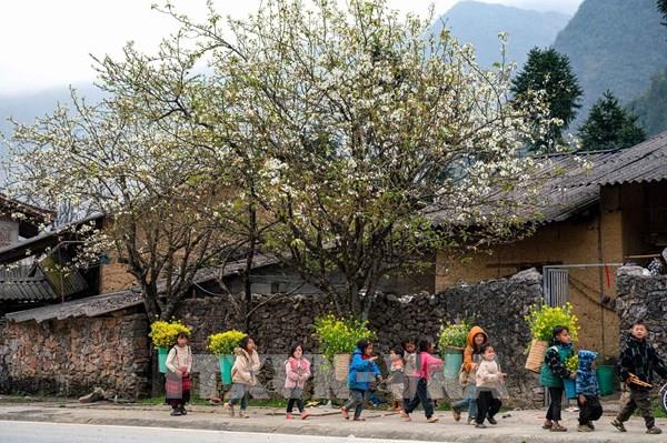 Cao nguyên đá Đồng Văn - điểm đến văn hóa hàng đầu thế giới 2025