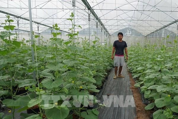 Thuế thu nhập doanh nghiệp xuống 10%: Doanh nghiệp nào được hưởng?