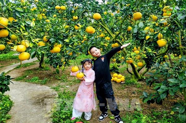 Du lịch ngắn ngày - lựa chọn ưu tiên dịp nghỉ Tết Dương lịch