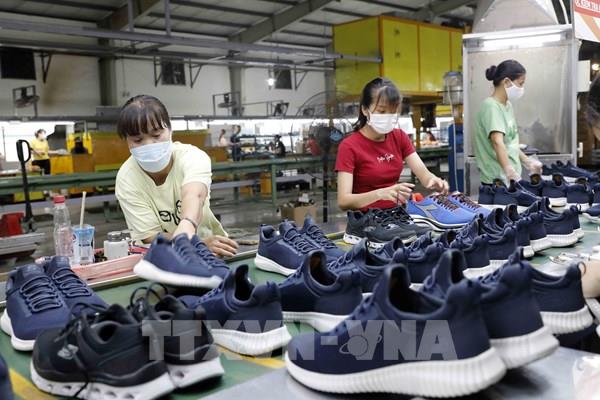 Sau 6 năm thực thi, tỷ lệ cấp Giấy chứng nhận xuất xứ tăng tích cực