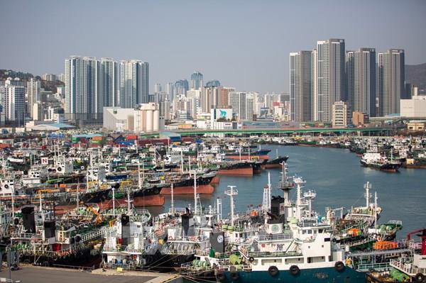 Xuất khẩu Hàn Quốc tháng 8 được dự báo tăng 62,6% nhờ nhu cầu chip AI