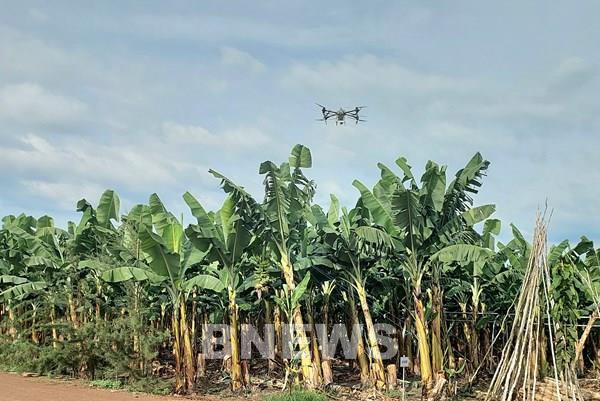 Kết nối ngân hàng – doanh nghiệp – nhà nông thúc đẩy tín dụng xanh