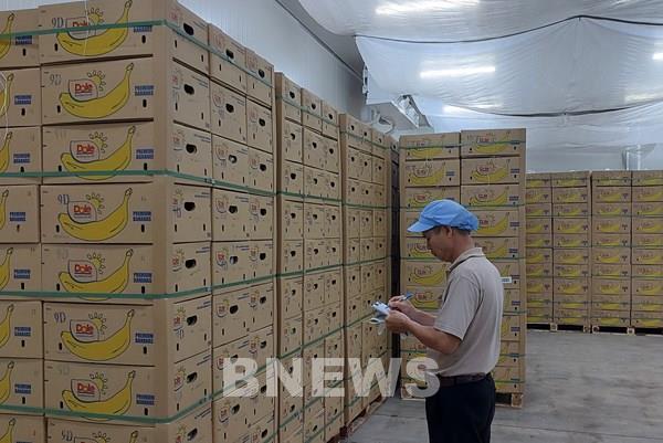 Doanh nghiệp xuất khẩu thực phẩm sang Trung Quốc cần lưu ý khi Nghị định số 280 có hiệu lực từ 1/6