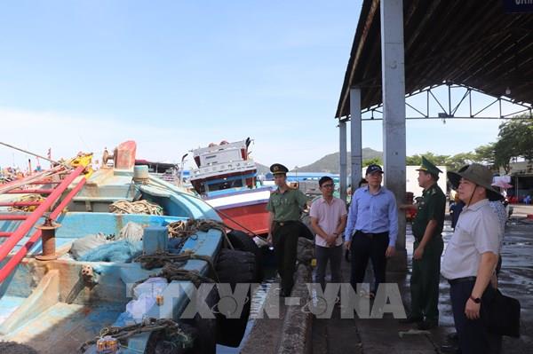 TP. Hồ Chí Minh siết chặt quản lý tàu cá không đủ điều kiện ra khơi