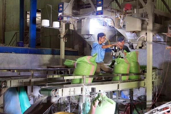 Vĩnh Long xuất khẩu vượt kế hoạch, đạt hơn 3,66 tỷ USD