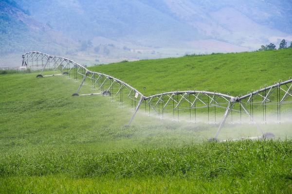 Tập đoàn TH khẳng định vị thế với mô hình nông nghiệp công nghệ cao