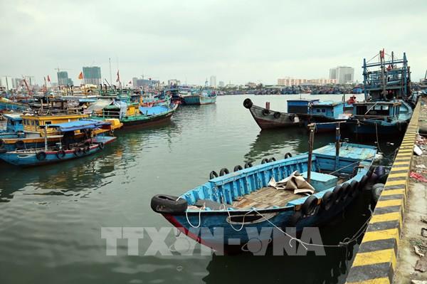 Phản hồi thông tin Thông tấn xã Việt Nam: Cảng cá Hồng Triều sẽ sớm có đơn vị quản lý, vận hành