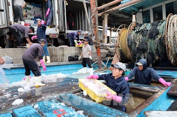 Bước chuyển gỡ "thẻ vàng" IUU - Bài 1: Biến áp lực thành động lực để thay đổi