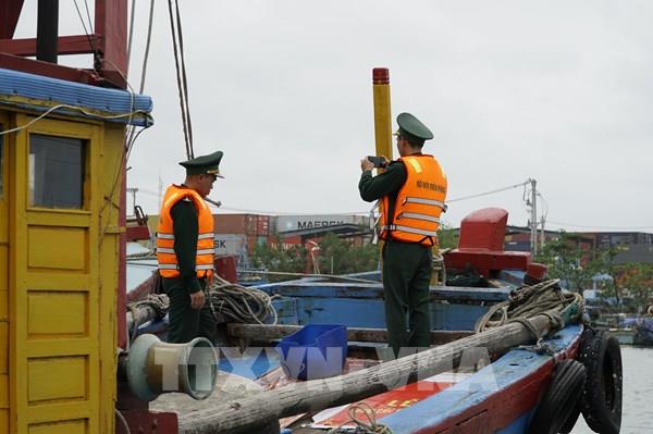 Bước chuyển gỡ "thẻ vàng" IUU - Bài 2: Thời điểm quyết định tuyên chiến với vi phạm IUU