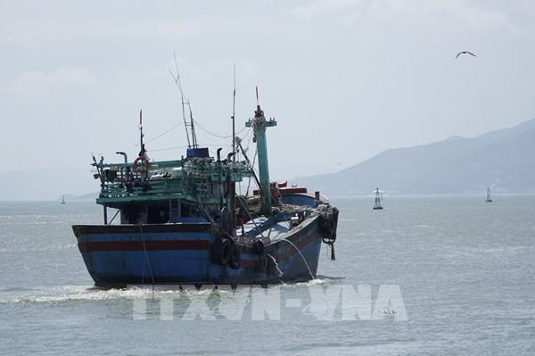 Chính phủ ban hành Nghị định quy định chi tiết thi hành Luật Thủy sản