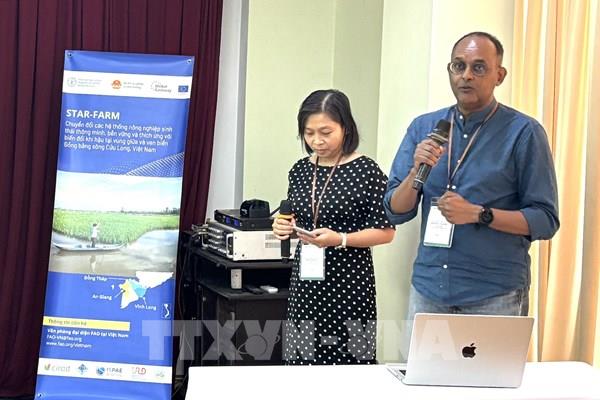 Từ xoài, sen đến lúa: Nông nghiệp sinh thái Đồng Tháp vào chuỗi giá trị xanh