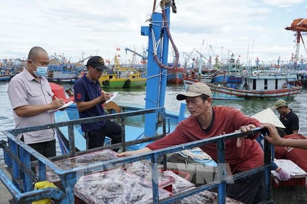 Thủy sản hướng tới xuất khẩu đạt 11,5 tỷ USD năm 2026