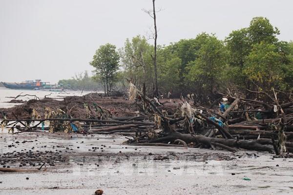 Đầu tư hơn 330 tỷ đồng chống xói lở bờ biển Gò Công