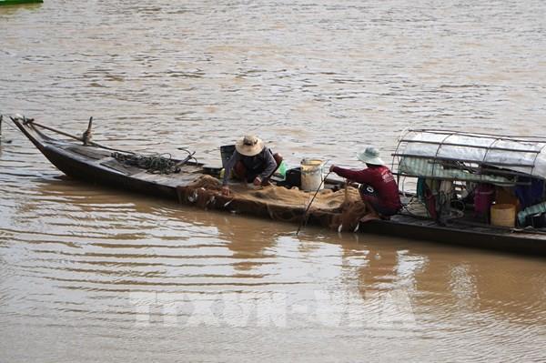 Nước rút trên đồng, cá về sông