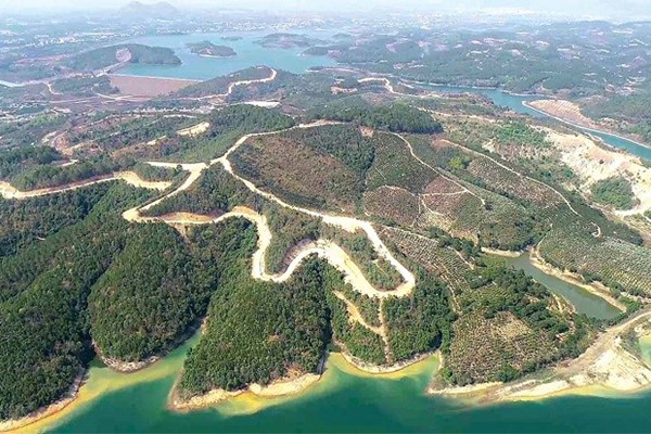 Lâm Đồng thu hồi trên 1.428 ha đất từ Dự án Sài Gòn Đại Ninh