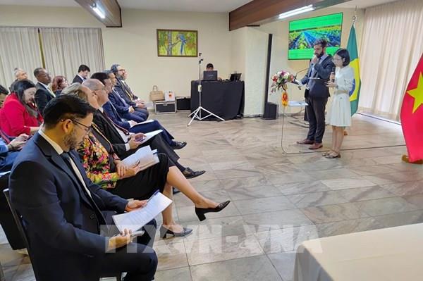Việt Nam - Brazil mở rộng hợp tác chuỗi giá trị nông nghiệp thông minh