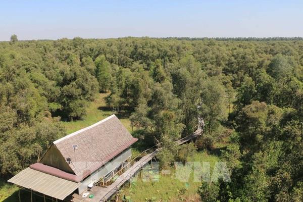 Những người giữ “lá phổi xanh” nơi đầu nguồn biên giới Tây Nam