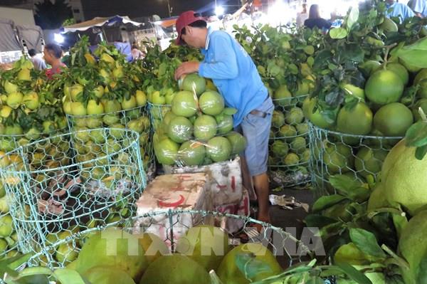 Bưởi Tết lên giá sớm, người trồng dè dặt, người mua tính toán