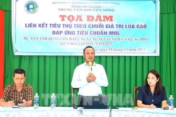 Cánh đồng lớn: Gỡ "nút thắt” cho chuỗi giá trị lúa gạo