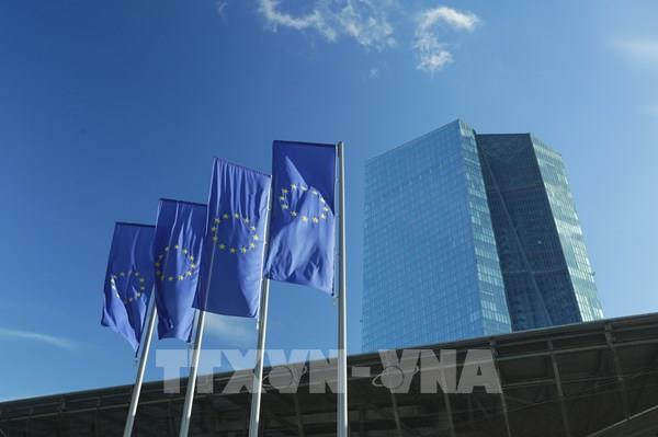 ECB thận trọng trước ngã rẽ chính sách