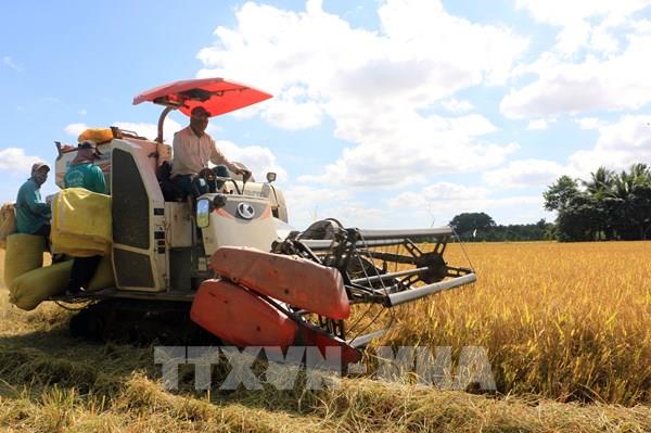 Nông nghiệp xanh: "Đòn bẩy” tăng trưởng của Vĩnh Long