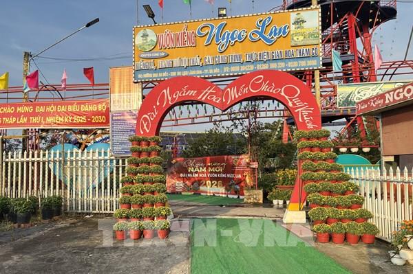 Sa Đéc "thay áo mới”, sẵn sàng đón khách mùa Festival