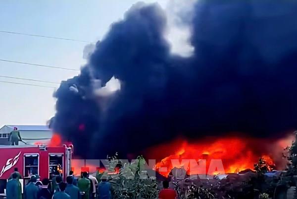 Khống chế kịp thời vụ cháy xưởng bông tại Quảng Ninh