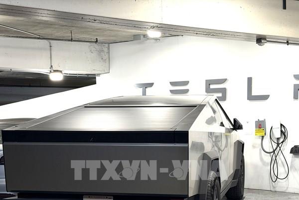 Lợi nhuận của Tesla giảm hơn 60% do doanh số giảm