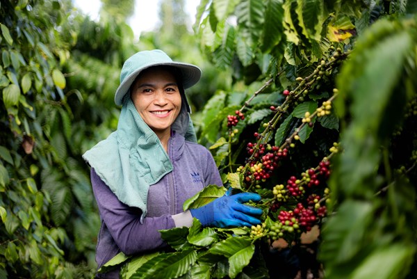 Kinh tế tuần hoàn là động lực chuyển đổi xanh 