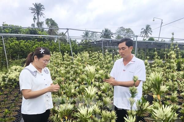 Từ "được mùa mất giá” đến làm nông theo nhu cầu thị trường