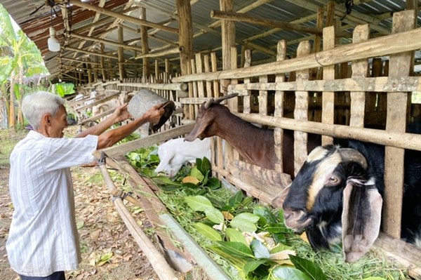 Phát triển nông nghiệp bền vững bắt đầu từ sự kết hợp thông minh 