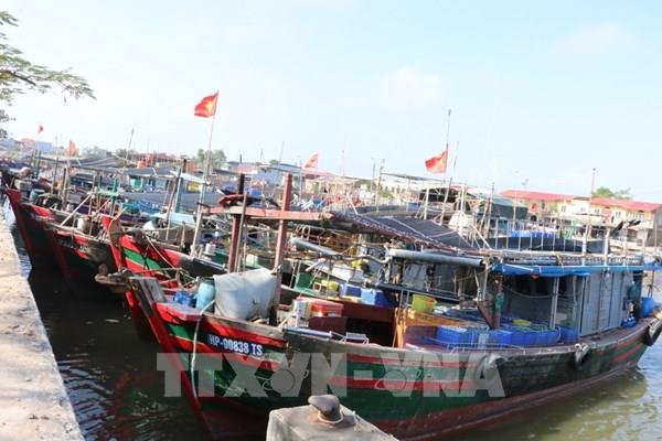 Hải Phòng chuyển biến tích cực trong chống khai thác IUU