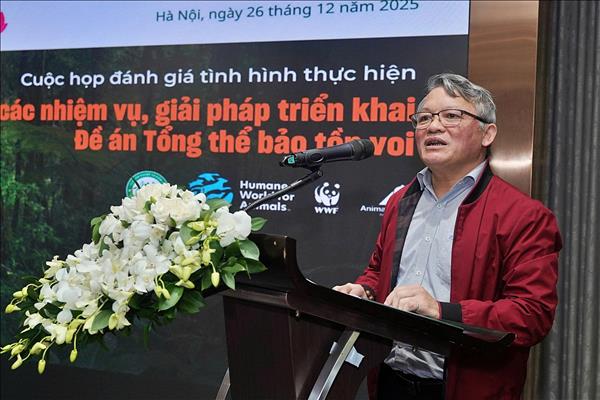 Thay đổi cách tiếp cận để bảo tồn đàn voi Việt Nam