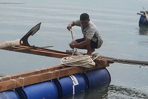 Khôi phục sinh kế biển sau thiên tai - Bài cuối: Mùa vụ không thể chờ chính sách