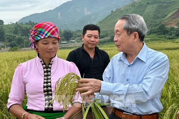 Viện sĩ của nhà nông