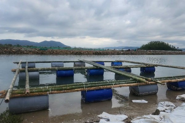 Đắk Lắk từng bước di dời, tháo dỡ lồng, bè ra khỏi khu vực vịnh Vũng Rô