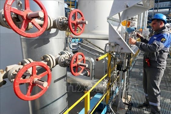 Nga gia hạn lệnh cấm xuất khẩu xăng để ổn định thị trường trong nước