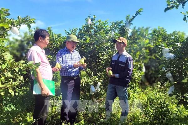 Tín dụng chính sách dựng nền an cư cho người nghèo Quảng Trị