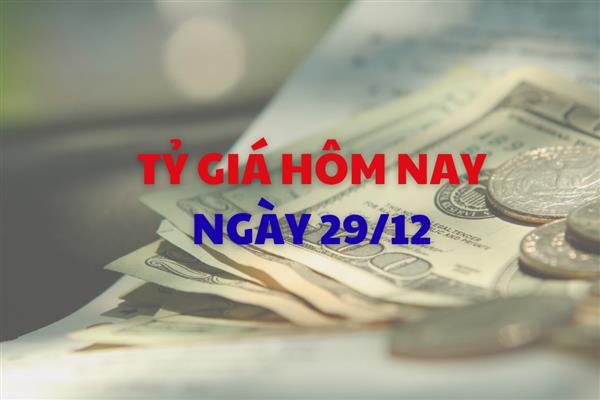 Tỷ giá hôm nay 29/12: Đồng USD và NDT biến động trái chiều