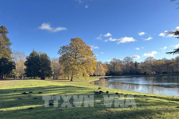 Cảnh đẹp yên bình mùa Đông ở Vương quốc Anh