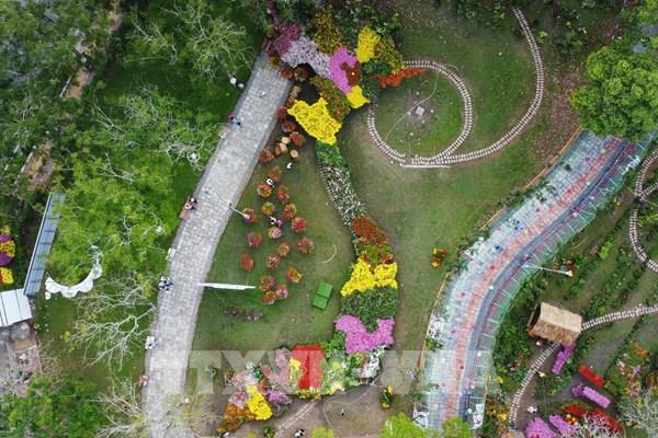 Độc, lạ bản đồ Việt Nam bằng hoa lớn nhất Việt Nam