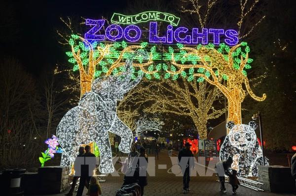 Lễ hội ánh sáng chào năm mới ở Vườn thú Quốc gia Smithsonian, Mỹ