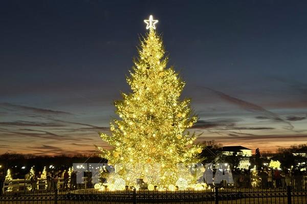 Chiêm ngưỡng cây thông Noel quốc gia Mỹ rực rỡ chào đón năm mới 2026