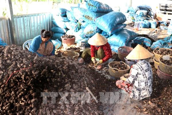 Nâng giá trị nông sản chủ lực