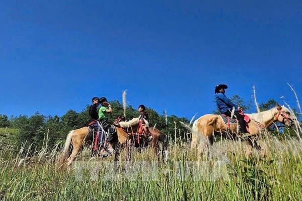 Cưỡi ngựa trải nghiệm Cực Bắc - Sản phẩm du lịch độc đáo